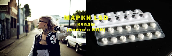 шишки Белокуриха