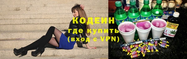 шишки Белокуриха