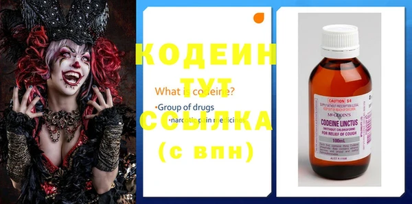 шишки Белокуриха