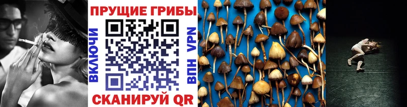 Псилоцибиновые грибы прущие грибы  сколько стоит  Микунь 