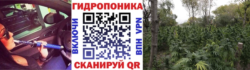 Канабис Bruce Banner Микунь